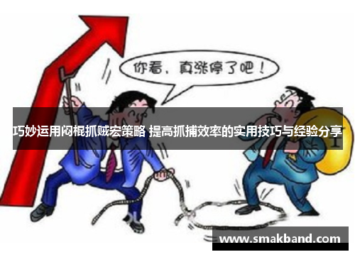 巧妙运用闷棍抓贼宏策略 提高抓捕效率的实用技巧与经验分享
